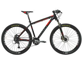 bici