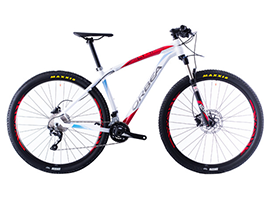bici